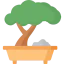 Bonsai 图标 64x64