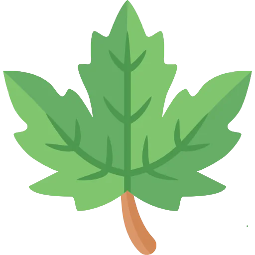Leaf icon