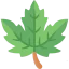 Leaf 图标 64x64