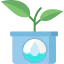 Plant 图标 64x64