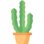 Cactus 图标 64x64