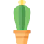 Cactus 图标 64x64