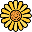 Sunflower 图标 64x64