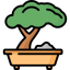 Bonsai 图标 64x64