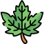 Leaf 图标 64x64