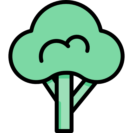 Broccoli icon