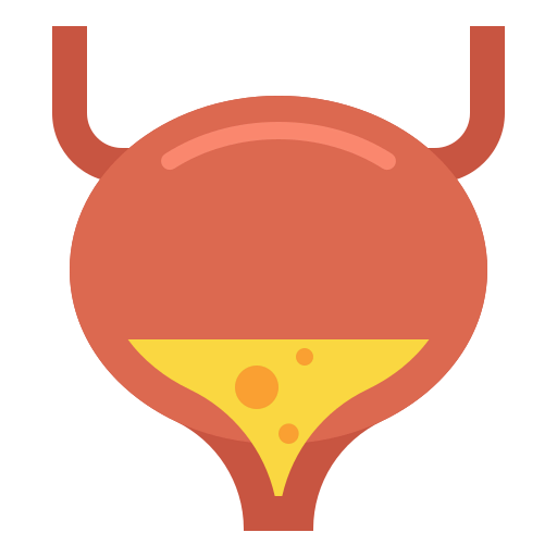 Bladder icon