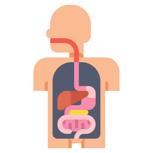 Digestion icon