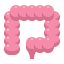 Intestine icon 64x64