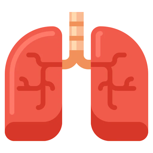 Lungs 图标