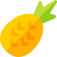 Pineapple 图标 64x64