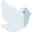 Dove icon 64x64