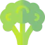 Broccoli Ikona 64x64