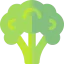 Broccoli icon 64x64