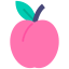 Plum ícono 64x64