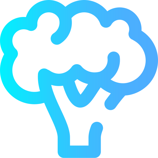 Broccoli icon