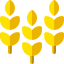 Wheat icon 64x64