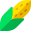 Corn icon 64x64