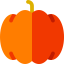 Pumpkin icon 64x64