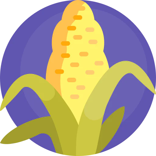 Corn icon