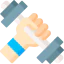 Dumbbell icon 64x64