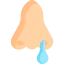 Runny nose 상 64x64