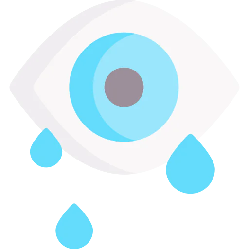 Conjunctivitis icon