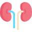 Kidney icon 64x64