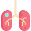 Kidney Ikona 64x64