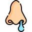 Runny nose Ikona 64x64