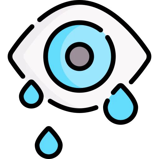 Conjunctivitis icon