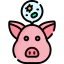 Pig Ikona 64x64