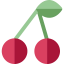 Cherries icon 64x64