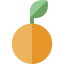 Orange icon 64x64
