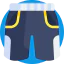 Shorts icon 64x64