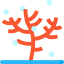 Coral icon 64x64