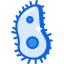 Worm icon 64x64