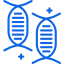 Dna icône 64x64