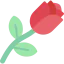 Rose 图标 64x64