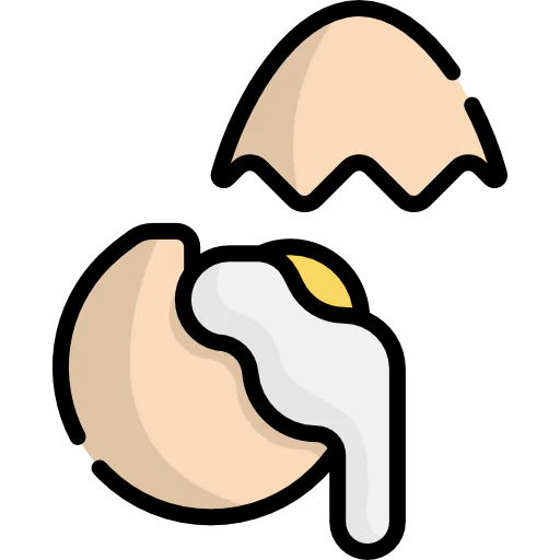 Egg 상