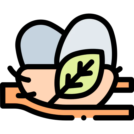 Nest 图标