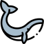 Whale icon 64x64