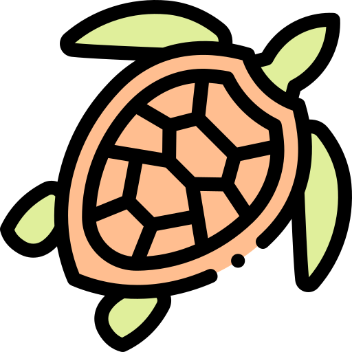Turtle biểu tượng
