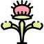 Carnivorous plant icon 64x64
