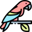 Parrot icon 64x64