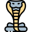 Cobra icon 64x64