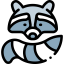 Racoon icon 64x64