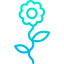 Flower icon 64x64