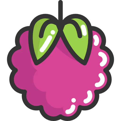 Raspberry ícono