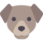 Dog icon 64x64